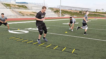SKLZ QUICK LADDER